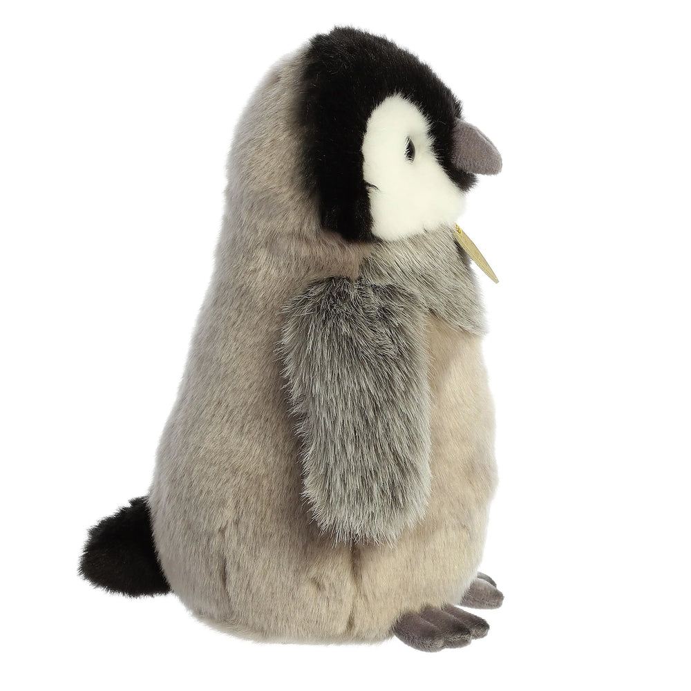 Wilberry Mr Chick. É um divertido pintainho Wilberry Mr Chick. É um divertido pintainho
