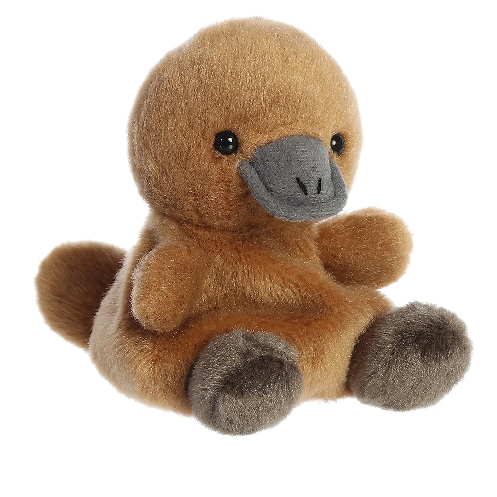 Toy Peluche Ornitorinco 5