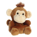 5" Boomer Monkey