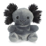 5" Onyx Axolotl