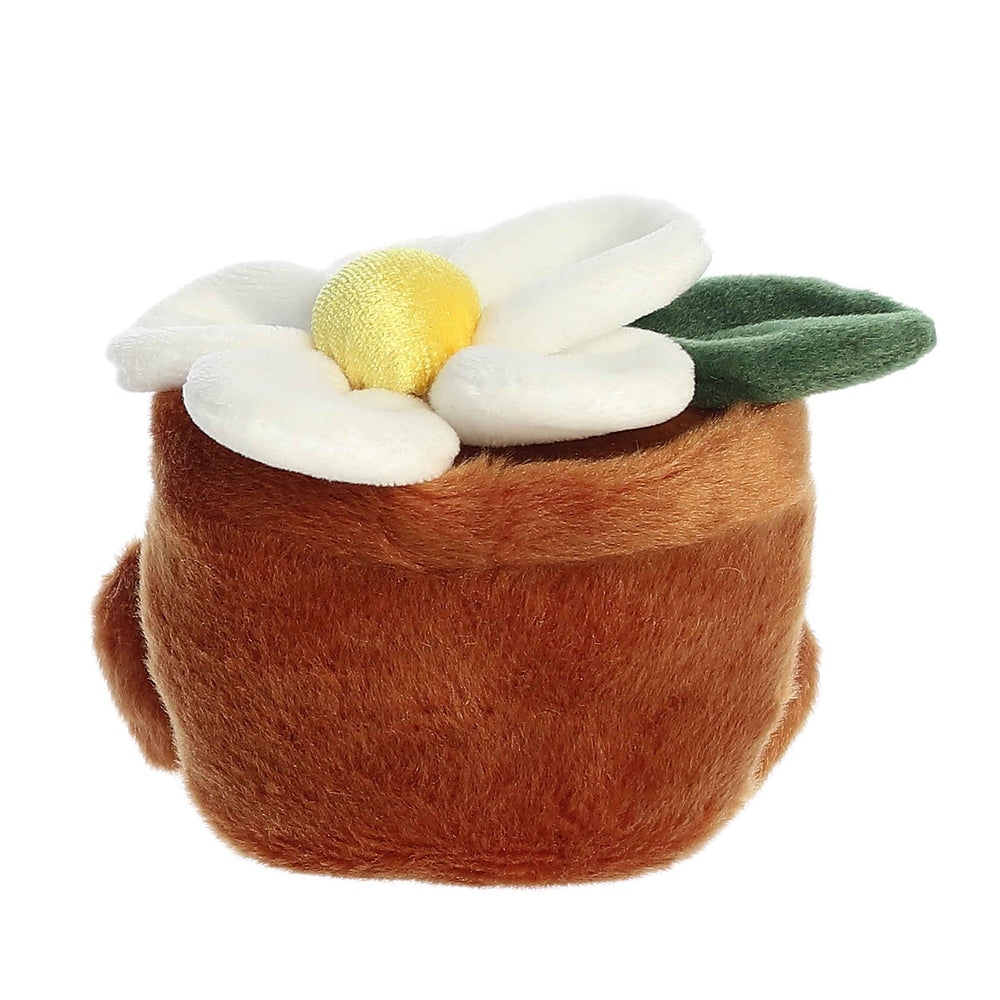 5" Junie Daisy