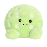 5" Steve Pickleball