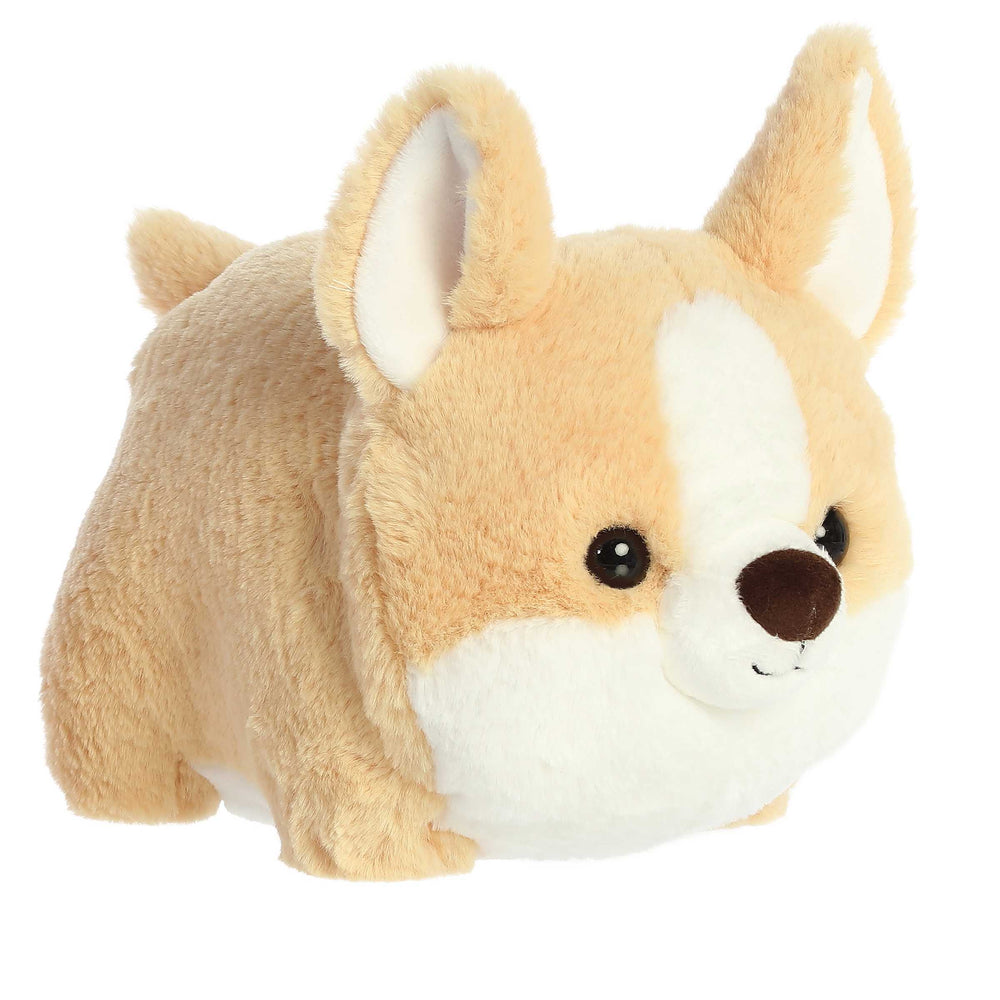 10" Spudsters Colby Corgi