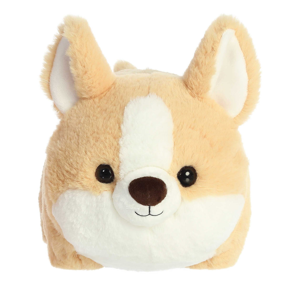 10" Spudsters Colby Corgi