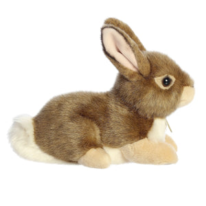 11" EASTERN COTTONTAIL RABBIT