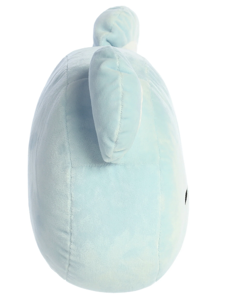 13.5" KOYA